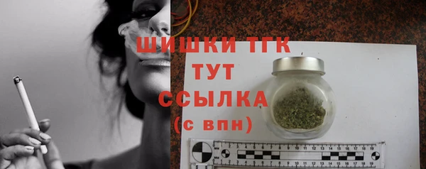 соль ск Инсар
