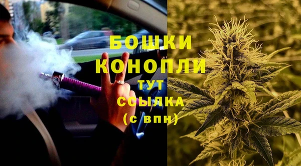 МДПВ Дмитров