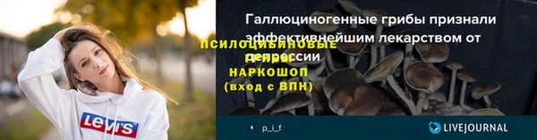 МДПВ Дмитров