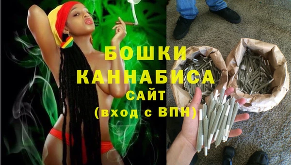 spice Дмитровск