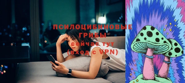 spice Дмитровск